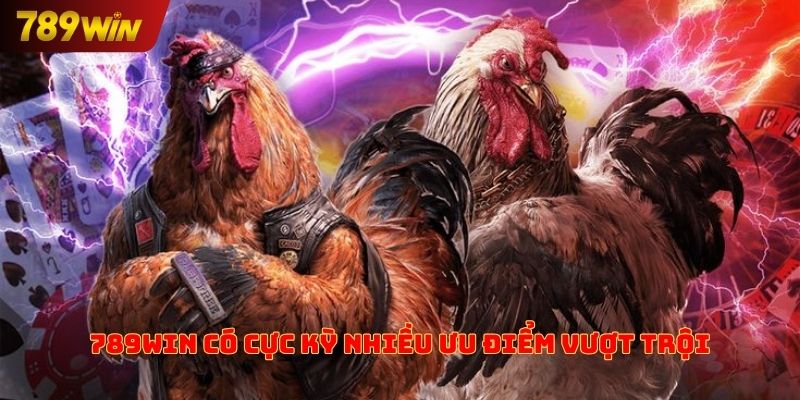 789win có cực kỳ nhiều ưu điểm vượt trội