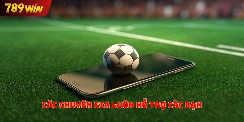Các chuyên gia luôn hỗ trợ các bạn