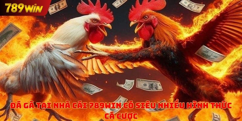 Đá gà tại nhà cái 789win có siêu nhiều hình thức cược