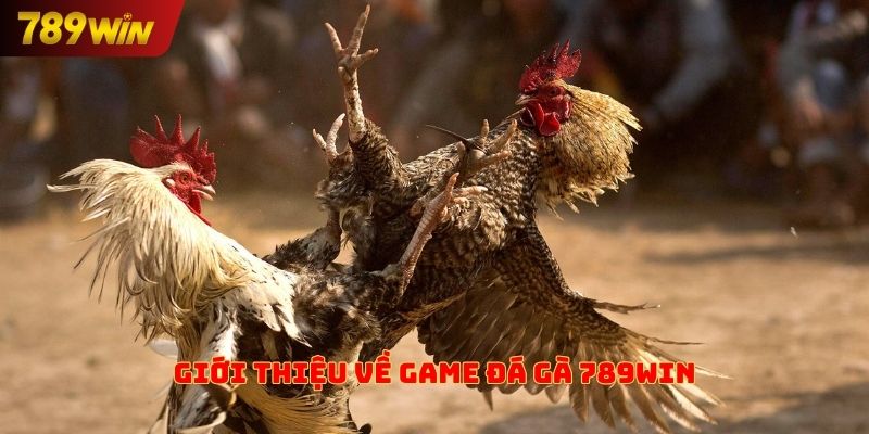 Giới thiệu về game đá gà 789win