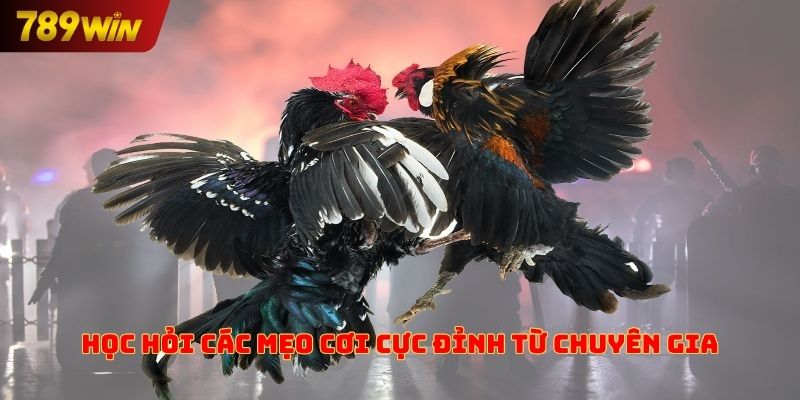 Học hỏi các mẹo chơi cực đỉnh từ chuyên gia