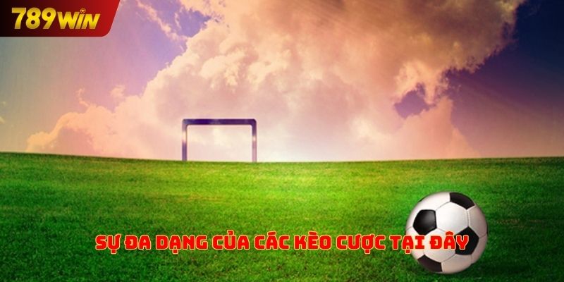 Sự đa dạng của các loại cược có mặt tại đây